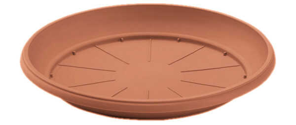 Terra Cotta